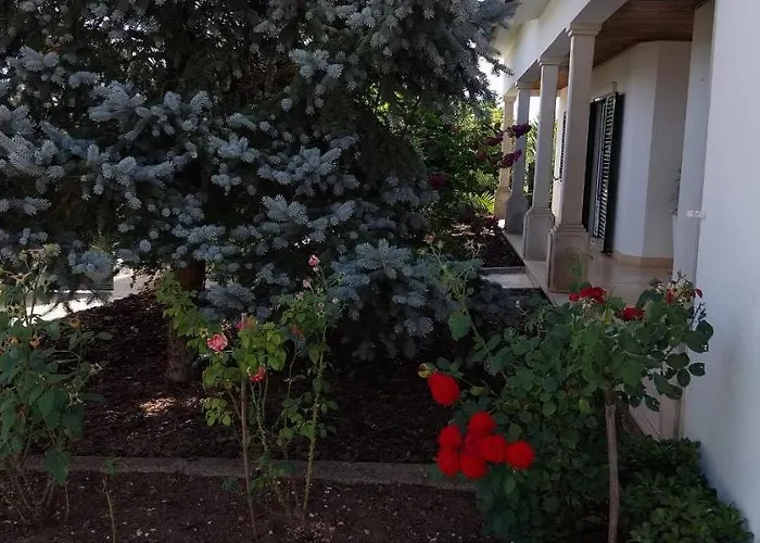 Casa Com Alma By Lovelystay *